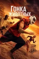 Гонка животных
